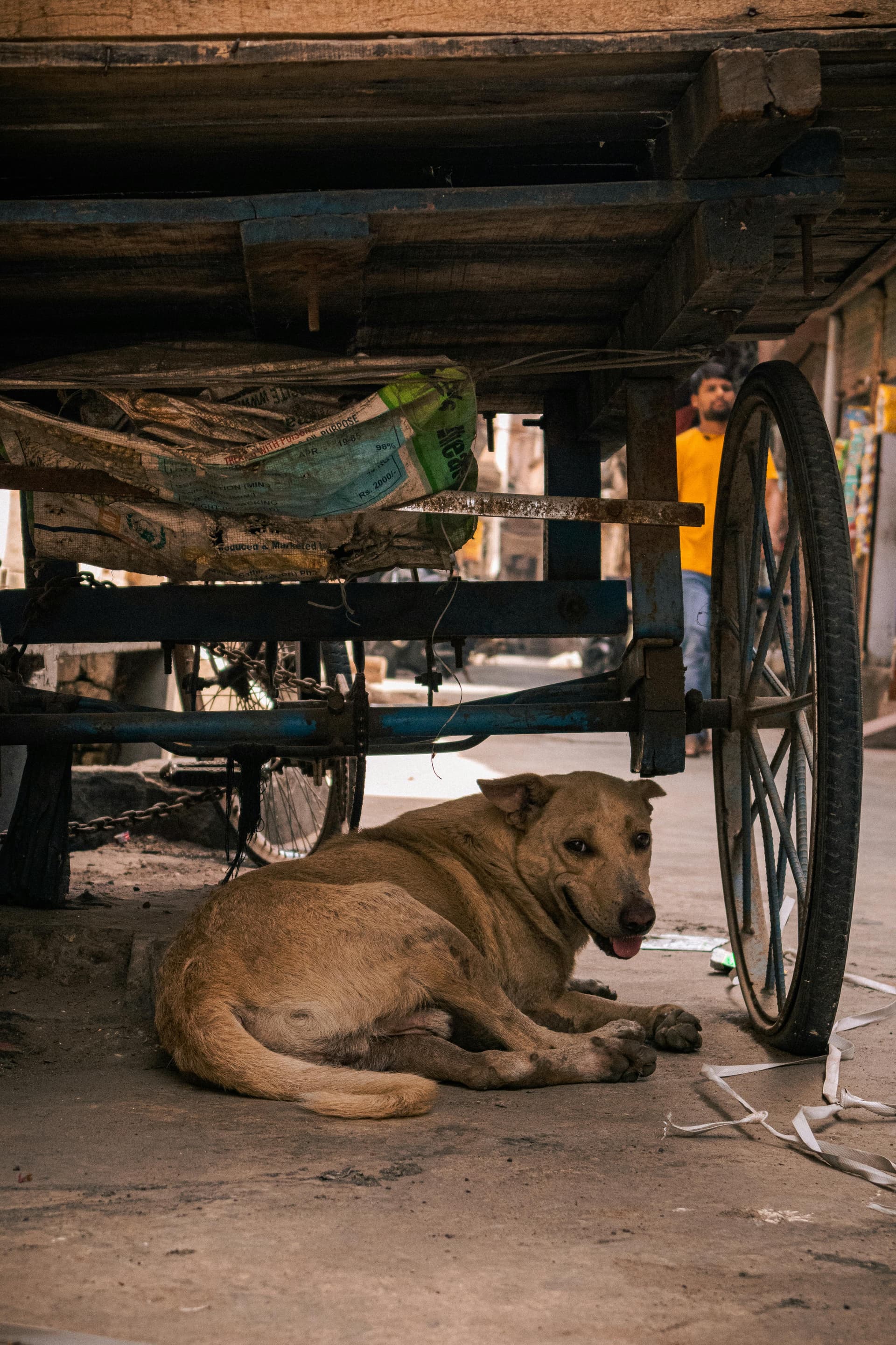 The Invisible Citizens